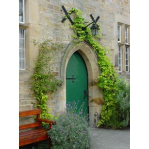 8 enkelte kort (døre)