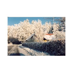 Enkelte julekort / postkort