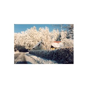 Enkelte julekort / postkort