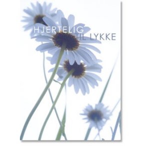 Telegram med kuvert, margueritter