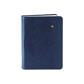 Bibelen i bldt kunstlder