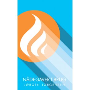 Ndegaver i brug - kun som E-BOG