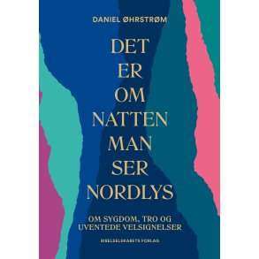 Det er om natten man ser nordlys