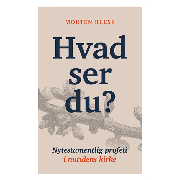 Hvad ser du?