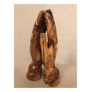 Bedende hnder i oliventr