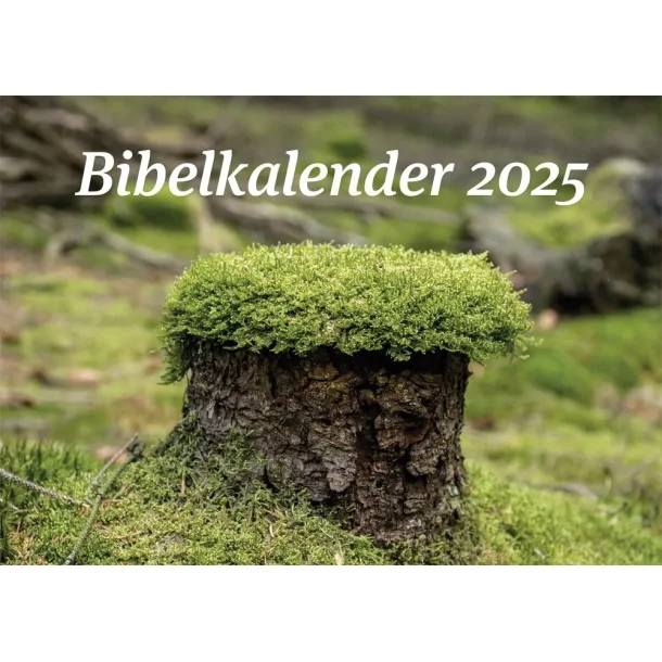 Bibelkalender 2025