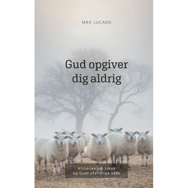 Gud opgiver dig aldrig / Max Lucado