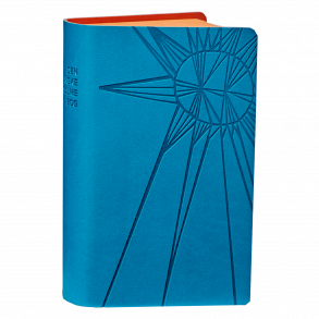 Salmebog i kunstskind