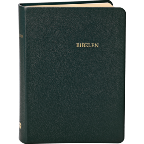 Bibelen i sort gte skind og med guldsnit