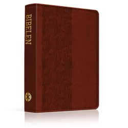 Bibelen p hverdagsdansk, 2024-serien