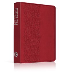 Bibelen p hverdagsdansk, 2024-serien