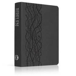 Bibelen p hverdagsdansk, 2024-serien