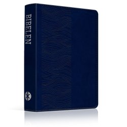 Bibelen p hverdagsdansk, 2024-serien