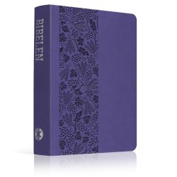 Bibelen p hverdagsdansk, 2024-serien